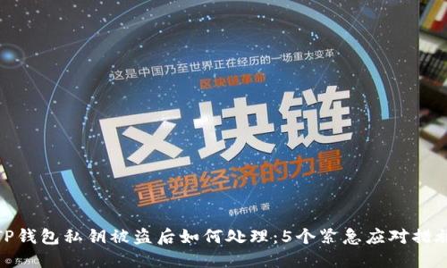 TP钱包私钥被盗后如何处理：5个紧急应对措施