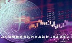 2023年山东淄博数字钱包的全面解析：