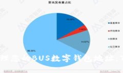 如何安全管理您的BUS数字钱包地址：