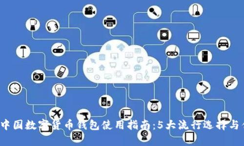 2023年中国数字货币钱包使用指南:5大流行选择与优势分析