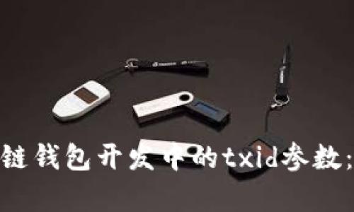 深入解析区块链钱包开发中的txid参数：10个关键要点