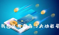 2023年DBS数字钱包使用指南：5大功能帮