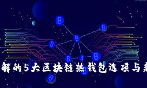 2023年你必须了解的5大区块链热钱包选项与新经币的安全策略