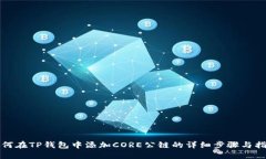 如何在TP钱包中添加CORE公链的详细步骤