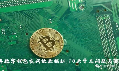 2023年数字钱包夜间放款揭秘:10大常见问题与解决方案