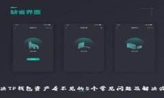 解决TP钱包资产看不见的5个常见问题及