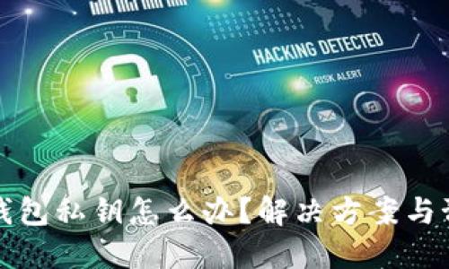 忘记TP钱包私钥怎么办?解决方案与预防措施
