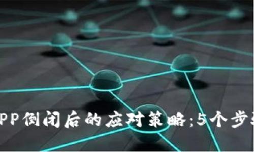 数字货币钱包APP倒闭后的应对策略:5个步骤保障资产安全