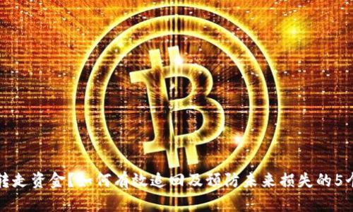TP钱包被转走资金？如何有效追回及预防未来损失的5个实用技巧