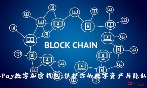 2023年BBPay数字加密钱包：保护你的数字资产与隐私的7大秘诀