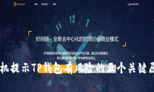 手机提示TP钱包有风险的五个关键原因