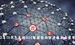 2023年TP钱包支持BSC智能链的深度解析与