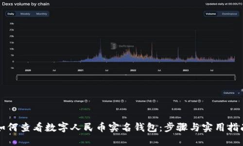 如何查看数字人民币实名钱包:步骤与实用指南