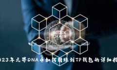 2023年元界DNA币如何转账到TP钱包的详细