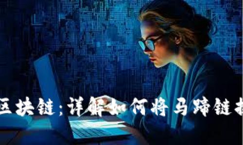 2023年TP钱包转区块链：详解如何将马蹄链换成BSC的5个步骤