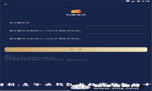 2023年全面解析：麦子云钱包与数字钱包的十大区别及优势