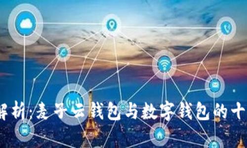 2023年全面解析：麦子云钱包与数字钱包的十大区别及优势