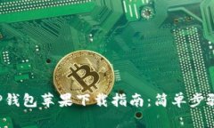 2023年最新TP钱包苹果下载指南：简单步
