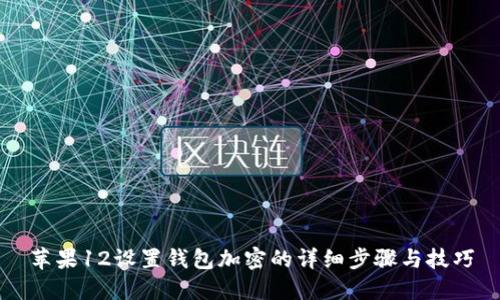 苹果12设置钱包加密的详细步骤与技巧