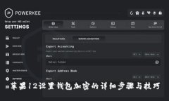 苹果12设置钱包加密的详细步骤与技巧