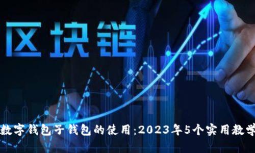 掌握数字钱包子钱包的使用：2023年5个实用教学技巧