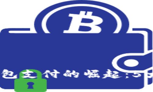 : 2023年数字钱包支付的崛起：5大优势与未来趋势