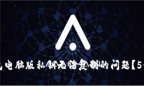 如何解决TP钱包电脑版私钥无法复制的问题?5个实用技巧分享