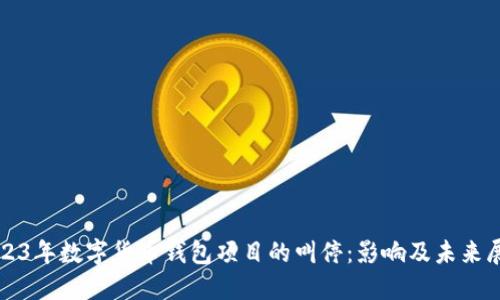 2023年数字货币钱包项目的叫停:影响及未来展望